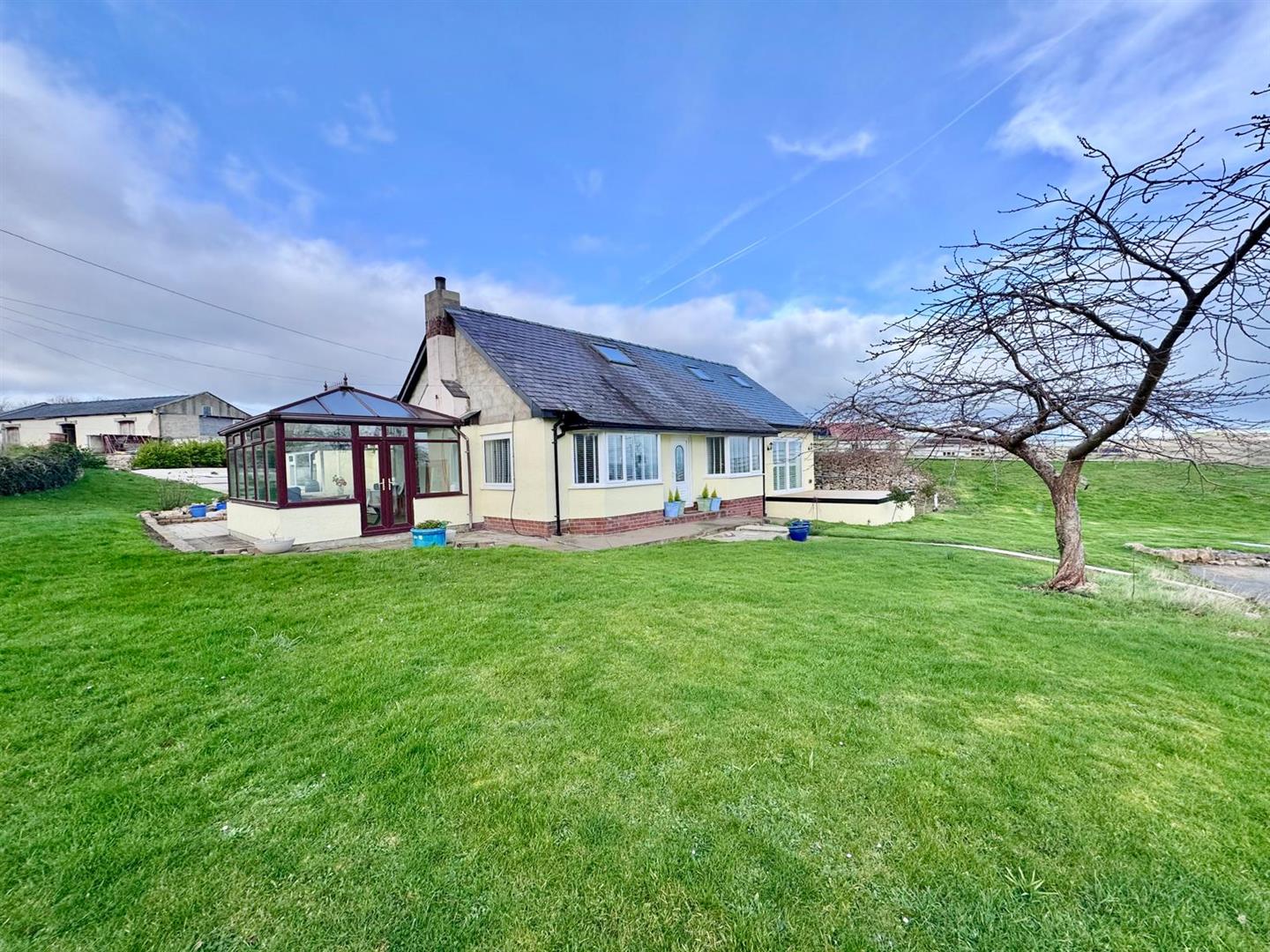 PHOTO-2026-02-24-11-55-50 (13).jpg